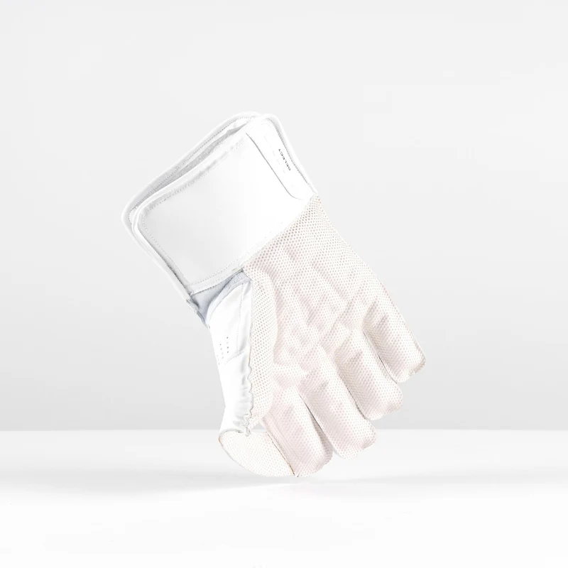 Wicketkeeping Classic Select Gloves