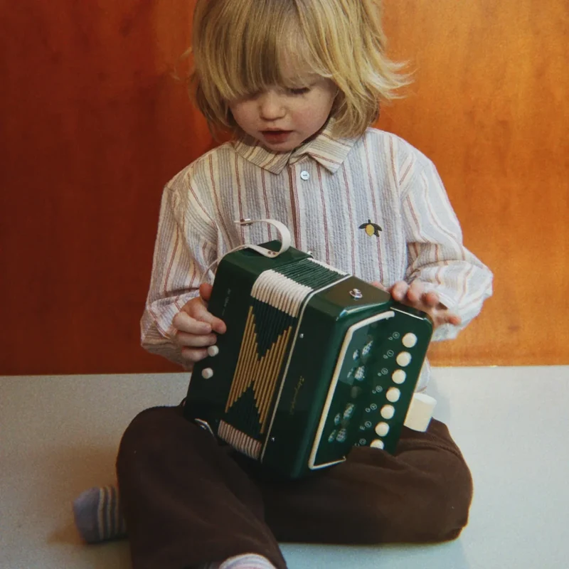 Remy Hosen