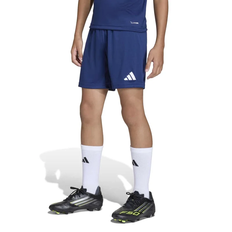 Adidas Entrada 26 - Shorts - marine/weiß