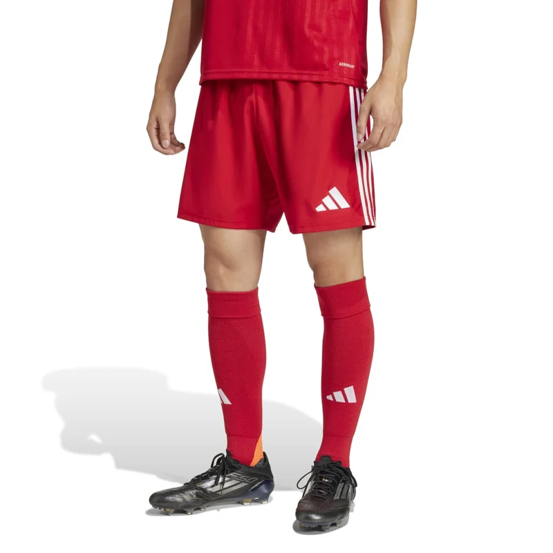 Adidas Tastigo 25 - Shorts - rot
