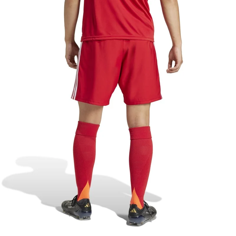 Adidas Tastigo 25 - Shorts - rot