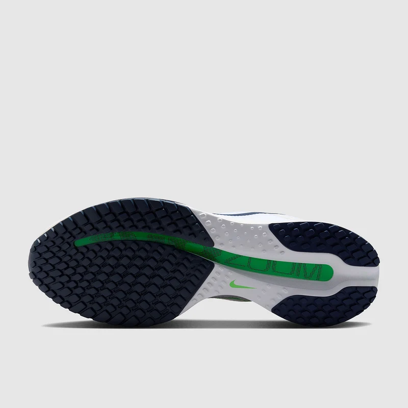 Nike Pegasus Premium