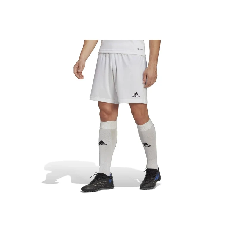 Adidas Entrada 22 Shorts Herren - weiß