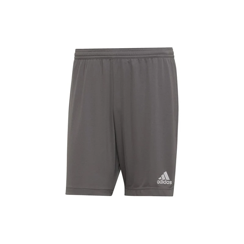 Adidas Entrada 22 Shorts Herren - grau