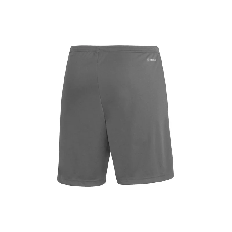 Adidas Entrada 22 Shorts Herren - grau