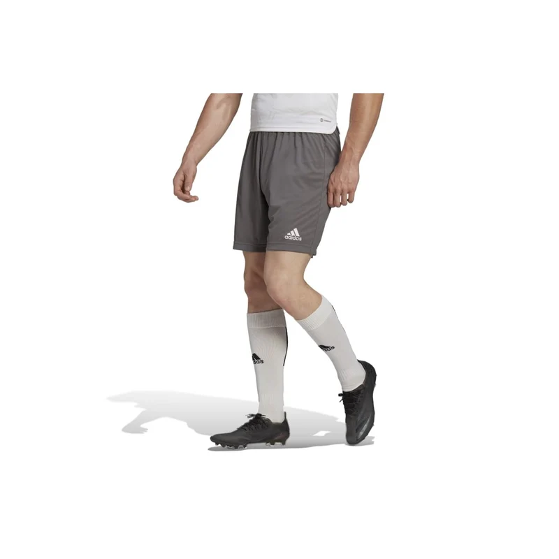 Adidas Entrada 22 Shorts Herren - grau