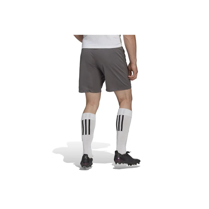 Adidas Entrada 22 Shorts Herren - grau