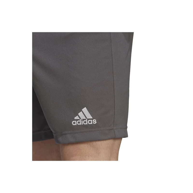 Adidas Entrada 22 Shorts Herren - grau