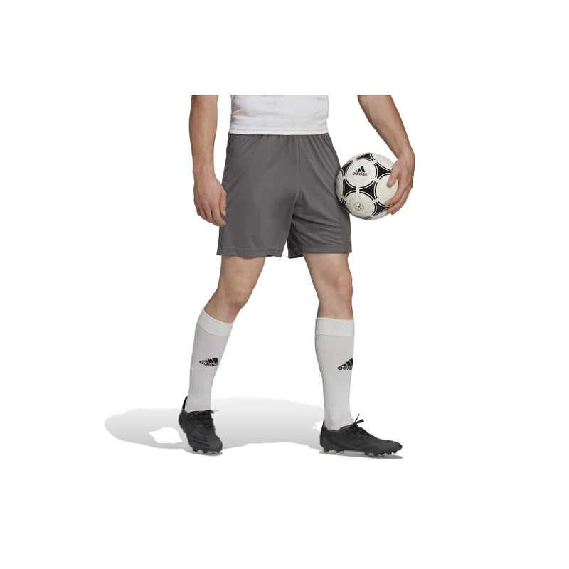 Adidas Entrada 22 Shorts Herren - grau