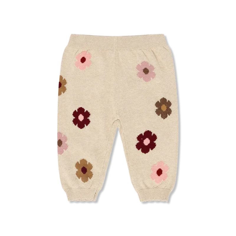 Hclisa Hosen