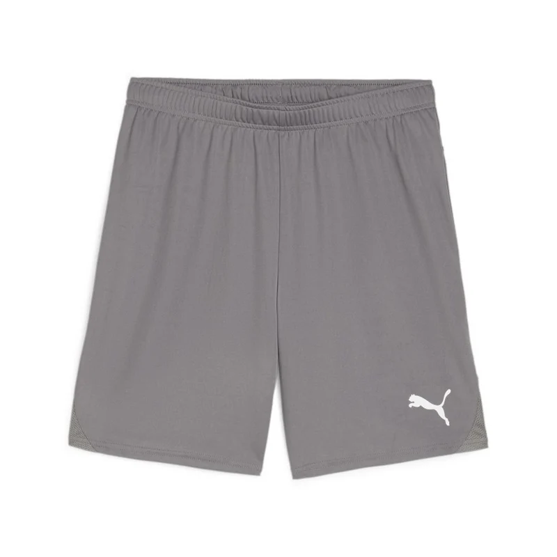 Puma teamGOAL Shorts - Grau/Weiß