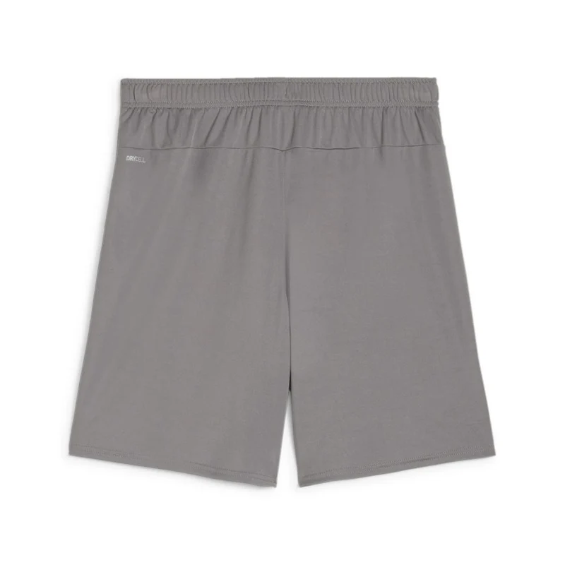 Puma teamGOAL Shorts - Grau/Weiß