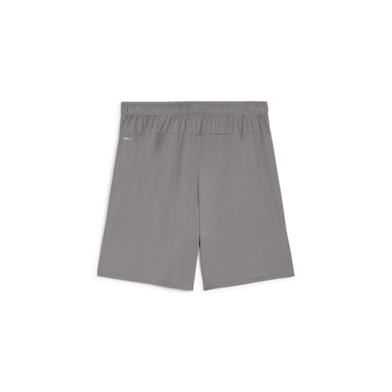 Puma teamGOAL Shorts - Grau/Weiß