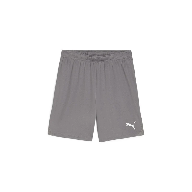 Puma teamGOAL Shorts - Grau/Weiß