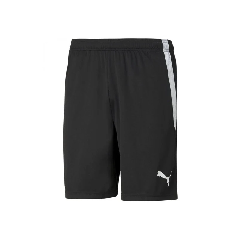 Puma teamLIGA Shorts Herren - schwarz
