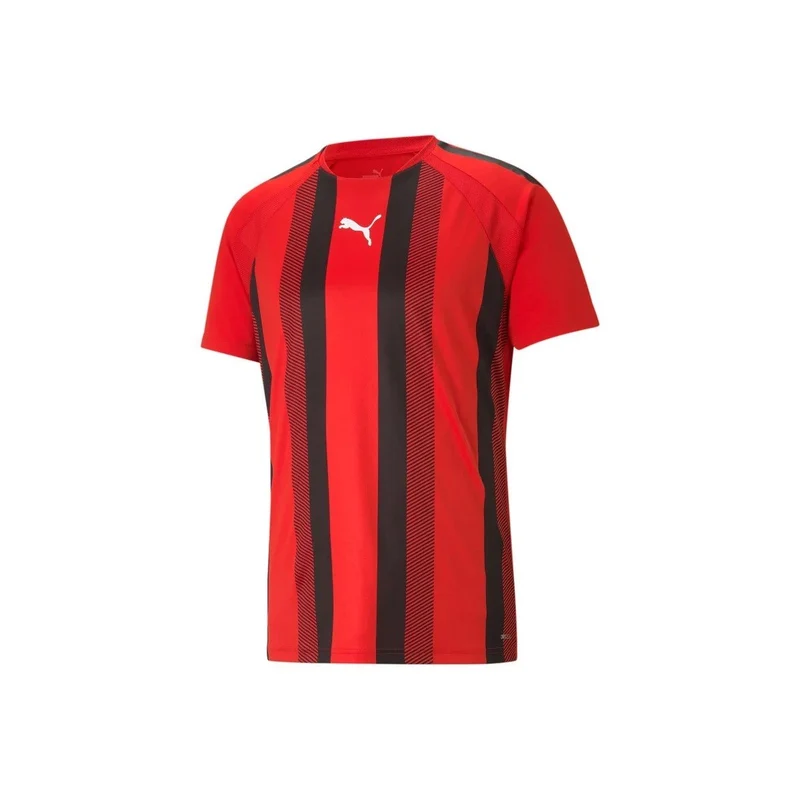 Puma teamLIGA Striped Jersey - rot