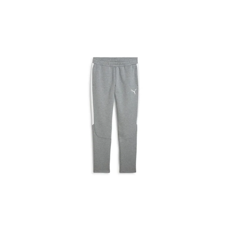 Puma teamEVOSTRIPE Pants - grau