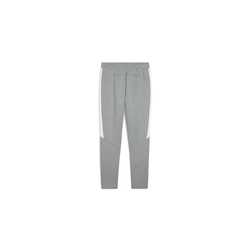 Puma teamEVOSTRIPE Pants - grau