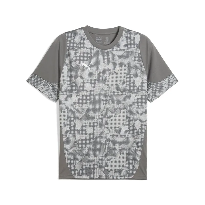 Puma teamCUP Training Jersey - grau
