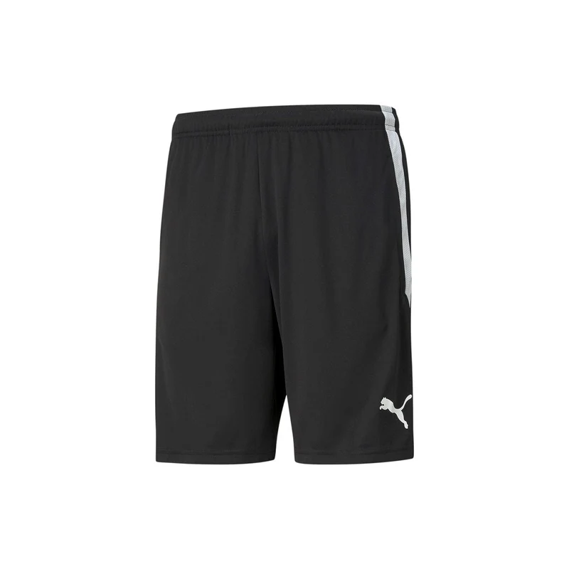 Puma teamLIGA Shorts Herren - schwarz/weiß