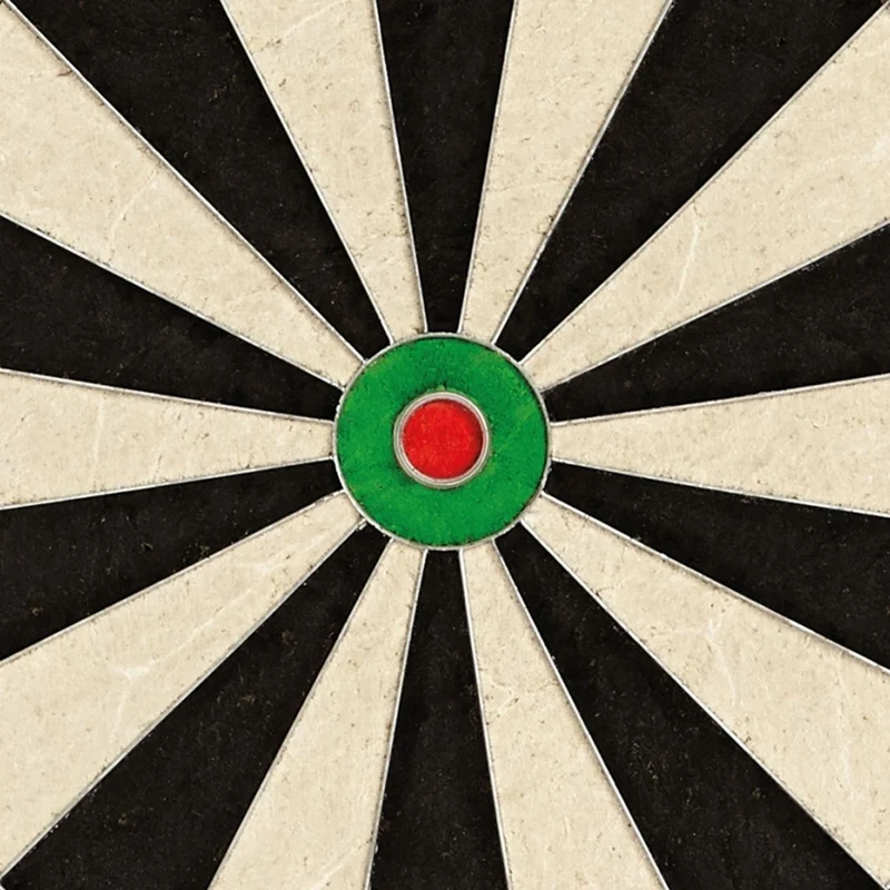 Eclipse Pro2 Bristle Dartboard