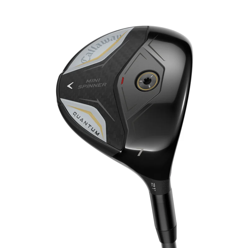 Quantum Mini Spinner Fairway