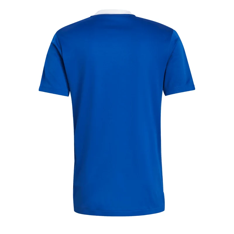 Adidas Tiro 21 Trainingstrikot Herren blau weiß
