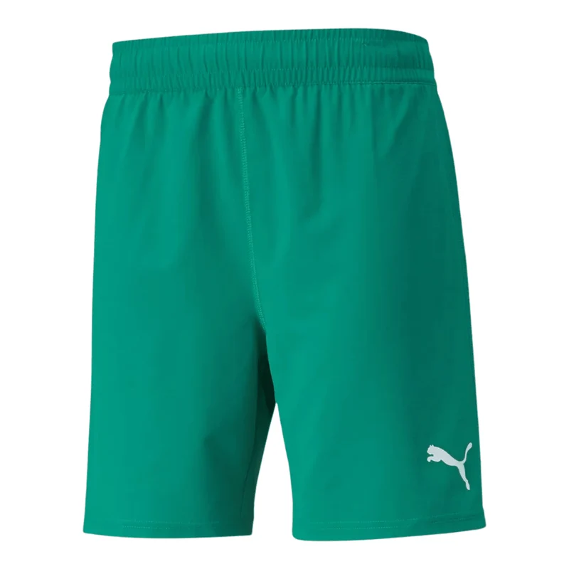 Puma teamFINAL Herren Shorts grün