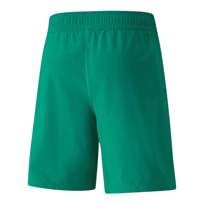 Puma teamFINAL Herren Shorts grün