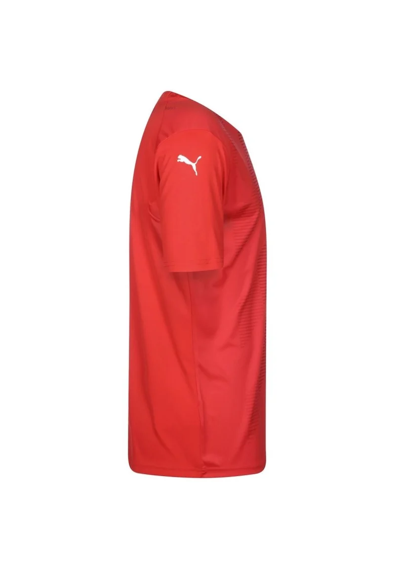 Puma teamGLORY Herren Trikot rot