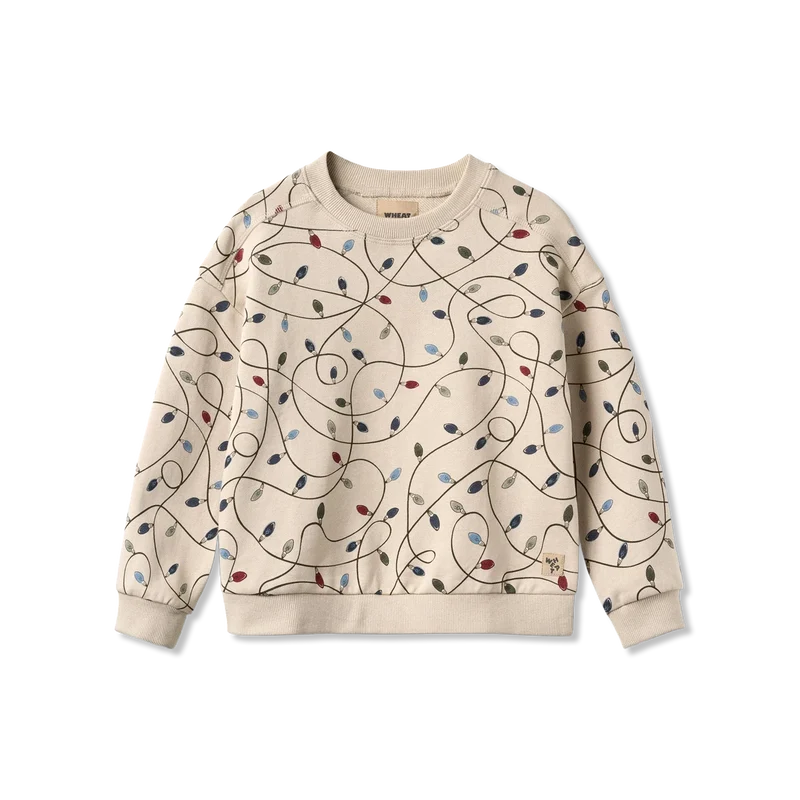 Sandro Sweatshirt