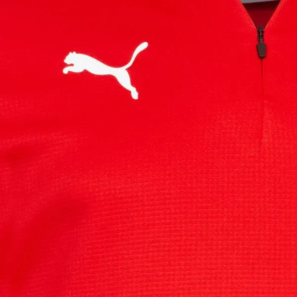 Puma teamGOAL 23 Trainingstop Herren - rot