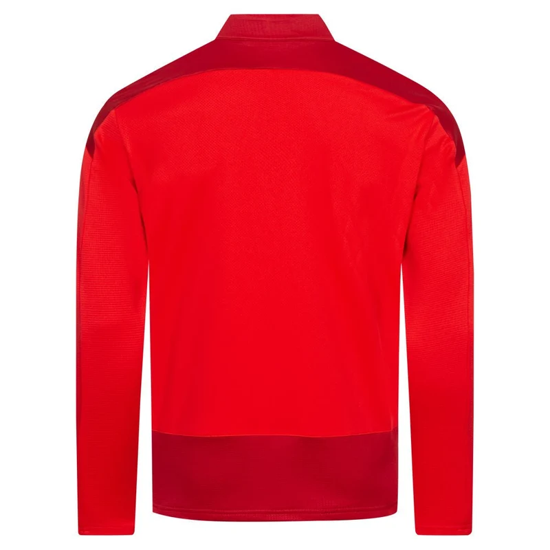 Puma teamGOAL 23 Trainingstop Herren - rot