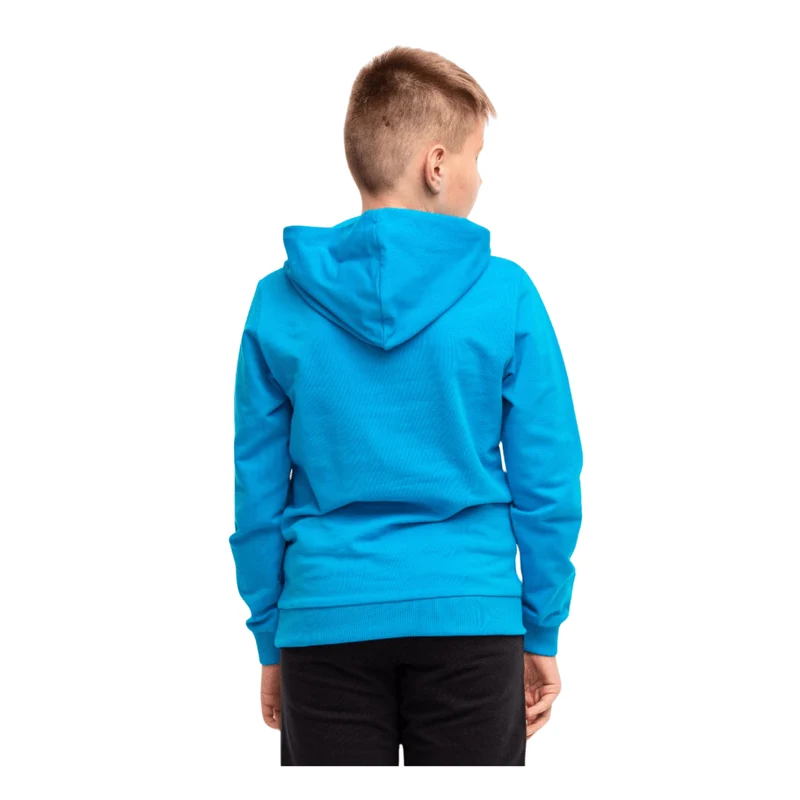 Puma teamGOAL Casuals Hoodie Kinder blau weiß