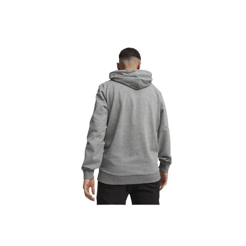 Puma teamGOAL Casuals Hoody - Grau/Weiß