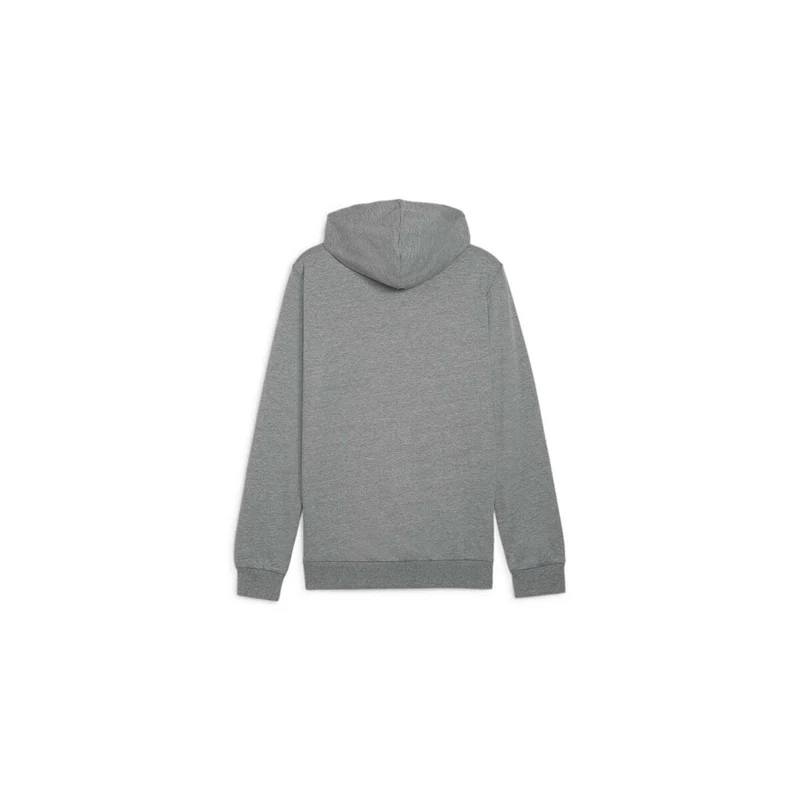 Puma teamGOAL Casuals Hoody - Grau/Weiß