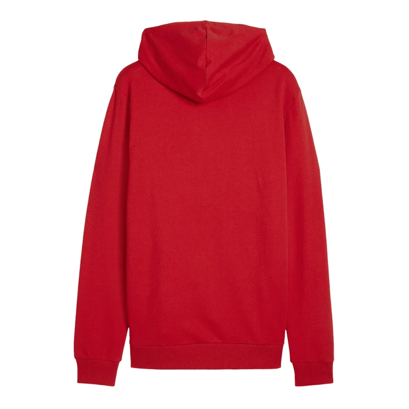 Puma teamGOAL Casuals Hoody - Rot/Weiß