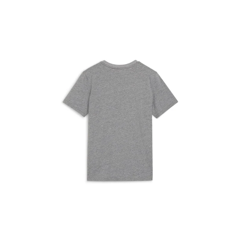 Puma teamGOAL Casuals T-Shirt Jr - Grau/Weiß