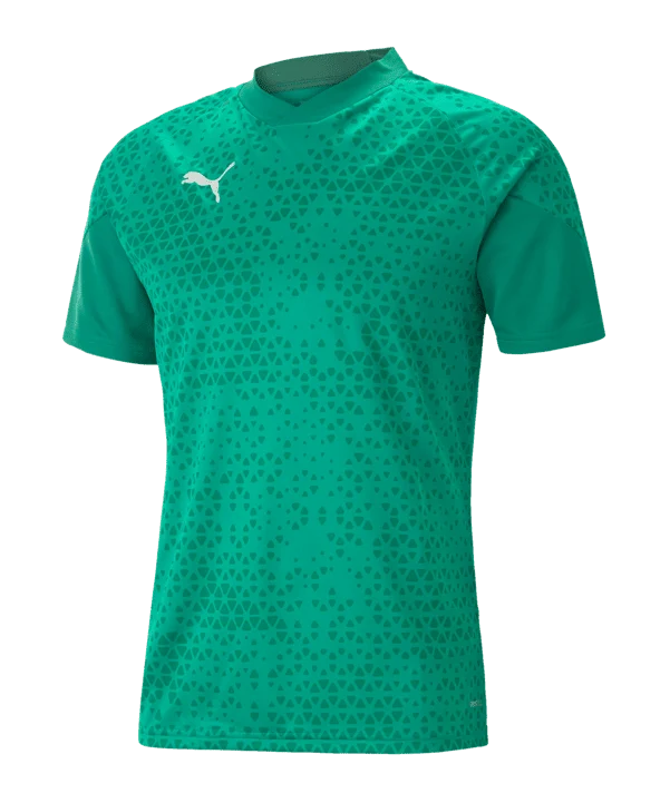 Puma teamCUP Trainingstrikot Herren grün