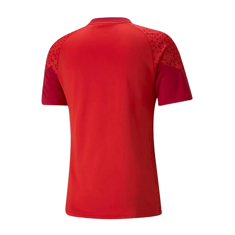 Puma teamCUP Trainingstrikot Herren - rot