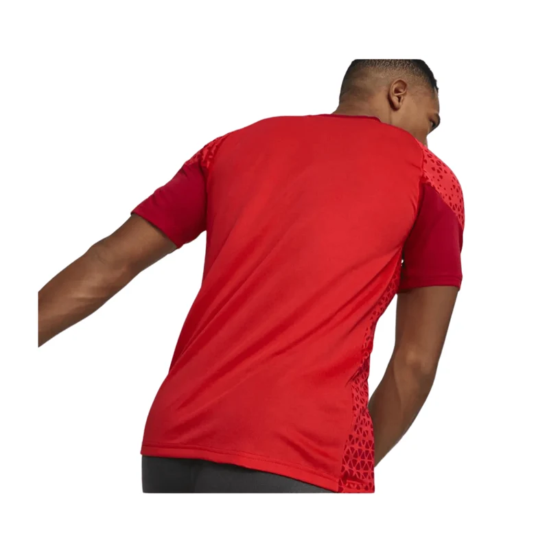 Puma teamCUP Trainingstrikot Herren - rot