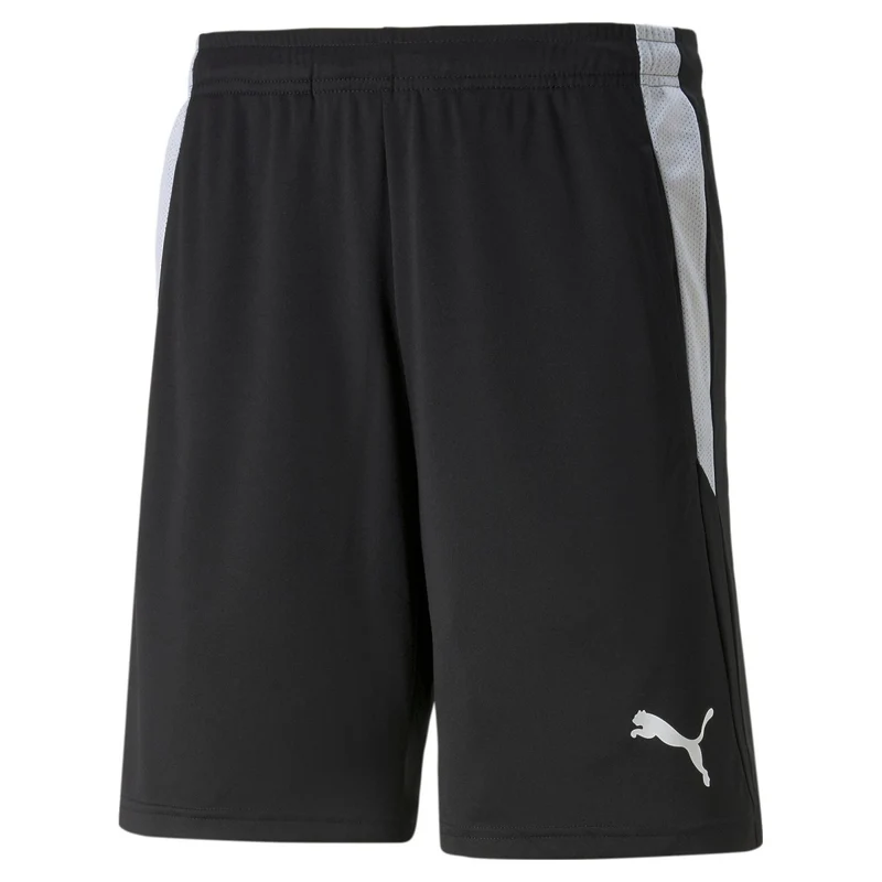 Puma teamLIGA Schiedsrichter Shorts Herren schwarz weiß