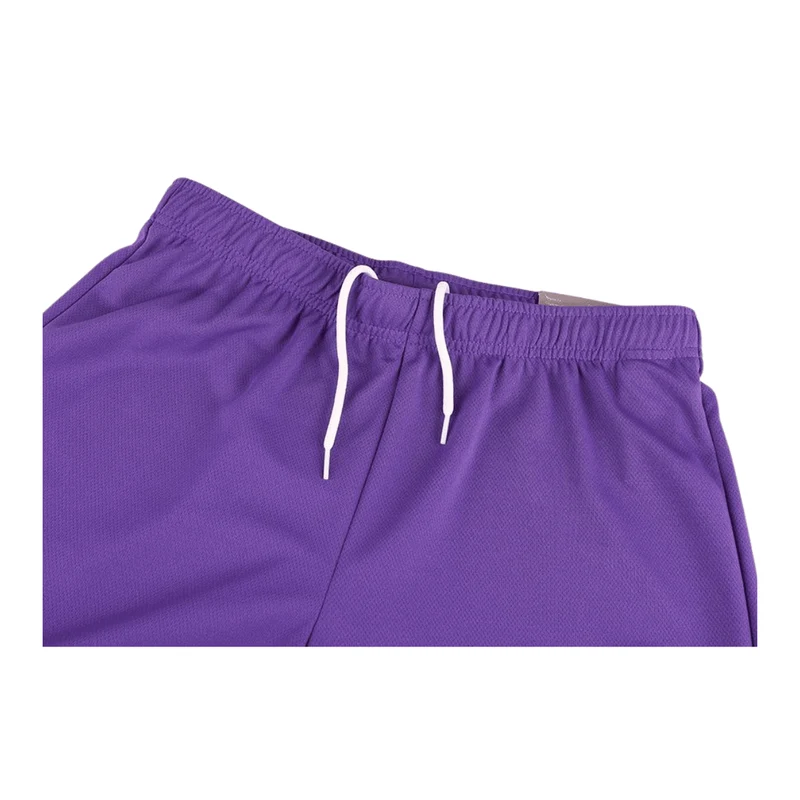 Puma Fußball teamRISE Shorts Herren lila weiß L