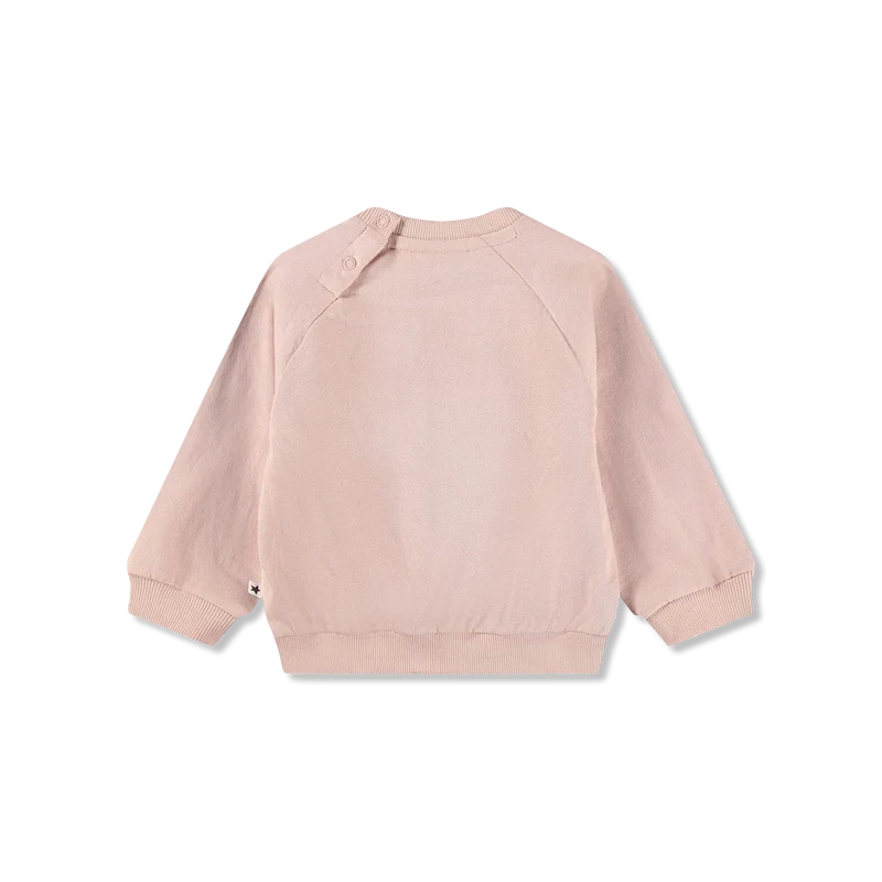 Disc sweatshirts
