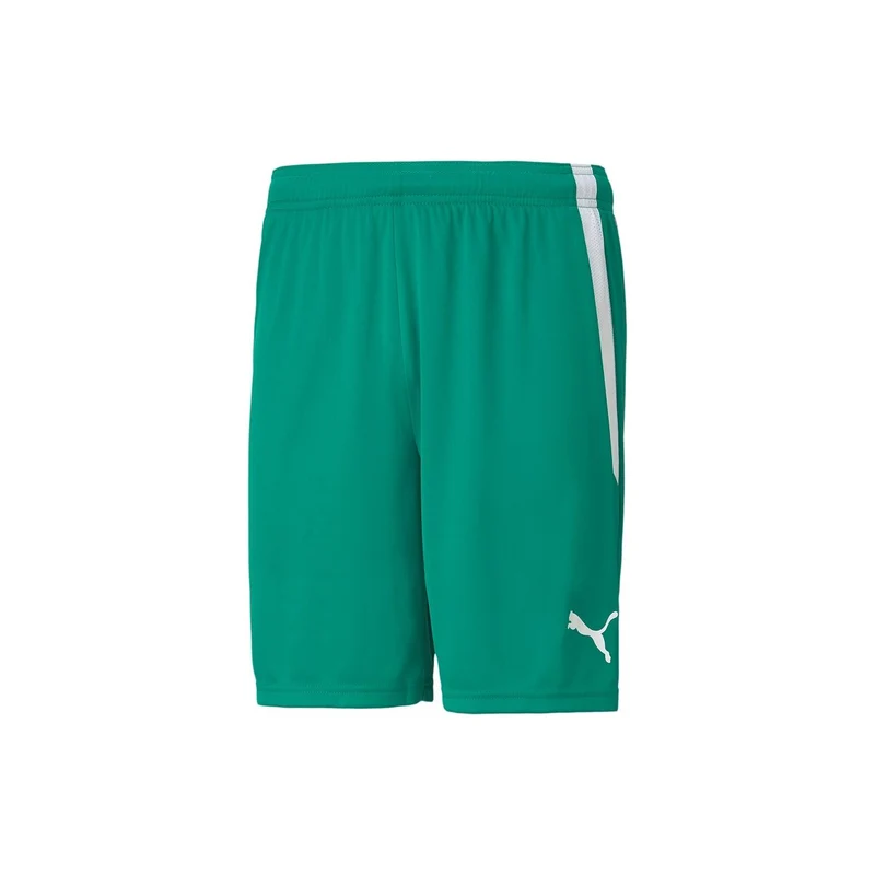 Puma teamLIGA Shorts Herren - grün Pepper Green-Puma White