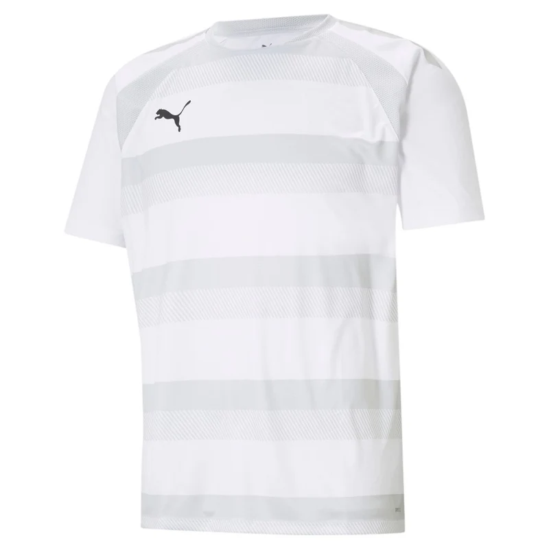 Puma teamVISION Trikot Herren weiß grau