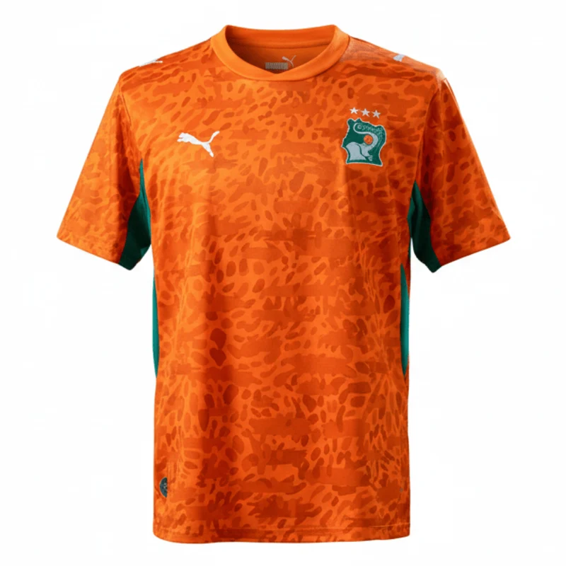 Elfenbeinküste Heimtrikot 26/27 Herren Fan-Version