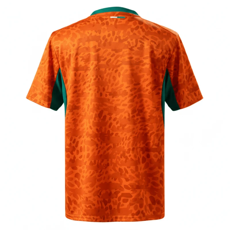 Elfenbeinküste Heimtrikot 26/27 Herren Fan-Version