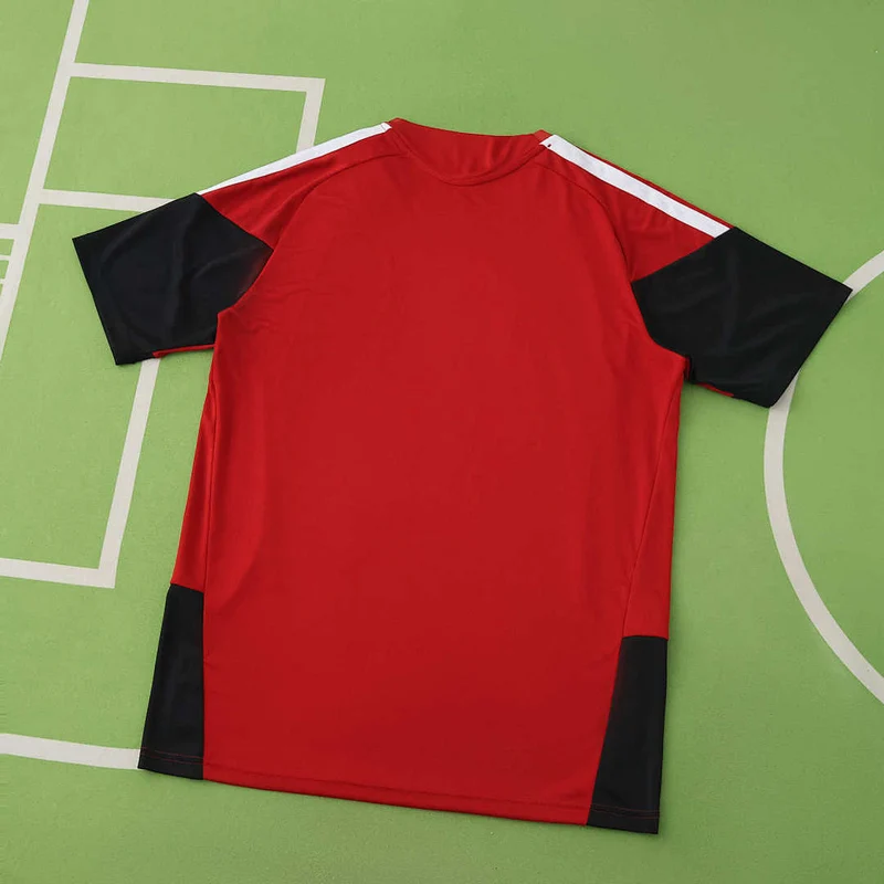 Deutschland Training 26/27 Herren Fan-Version Rot