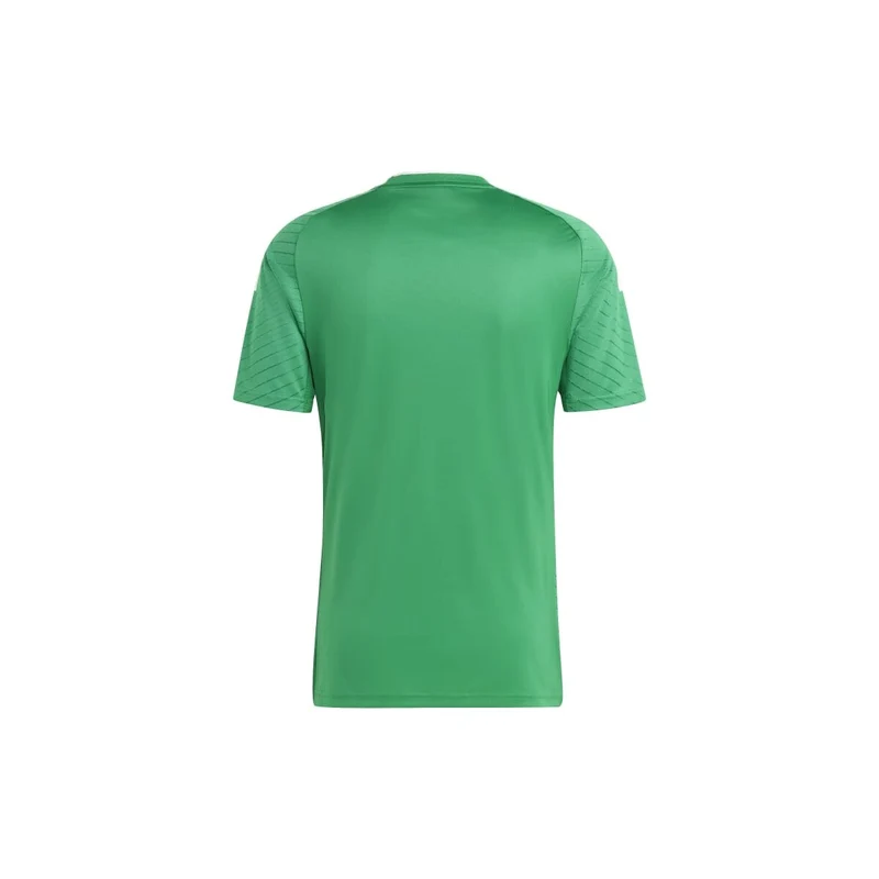 Adidas Campeon 23 Trikot Herren - grün/weiß